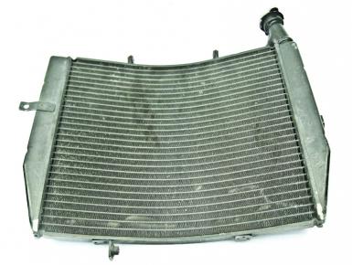 Радиатор охлаждения, Triumph, Daytona 675, 2009, 0, 0