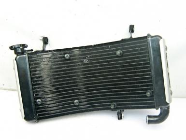 Радиатор охлаждения, Ducati, Monster S4, 2003, 0, 0