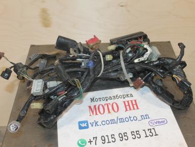 Проводка, Honda, CBR 600 RR, 2008, 0, 0