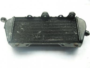 Радиатор охлаждения Левый, Kawasaki, KLX 250 D-Tracker, 1998, 0, 0