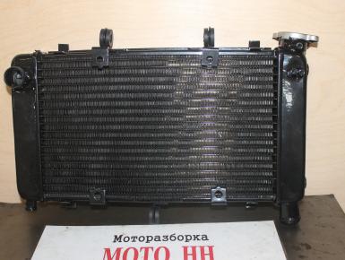 Радиатор охлаждения, Yamaha, FZS 600 Fazer, 2002, 0, 0