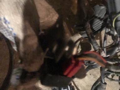 Реле топливного насоса, Kawasaki, ZZR 400, 1995, 0, 0