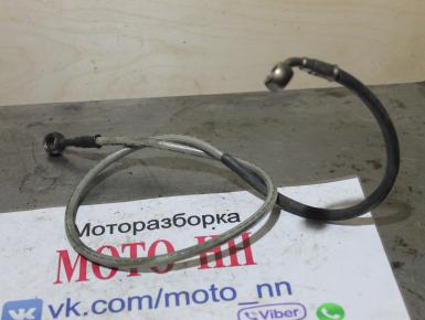 Шланг тормозной задний, Ducati, Multistrada 1000 DS, 2004, 0, 0