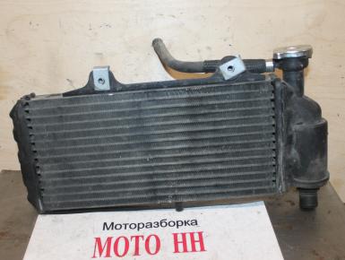 Радиатор охлаждения, BMW, F 650 GS, 2007, 0, 0