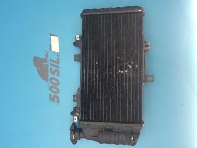 Радиатор охлаждения, BMW, F 800 R, 2009, 0, 0