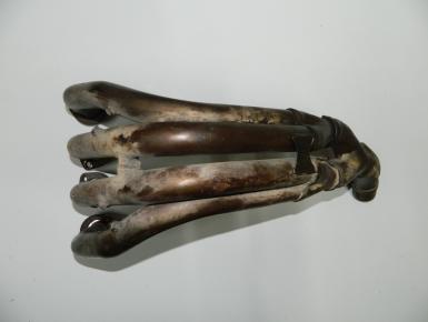 Коллектор выпускной, Yamaha, YZF R6, 2000, 0, 0