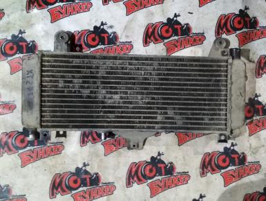 Радиатор охлаждения, Yamaha, XTZ 750 Super Tenere, 1991, 0, 0