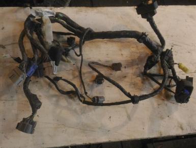 Проводка, Honda, GL 1800 Gold Wing, 2004, 0, 0