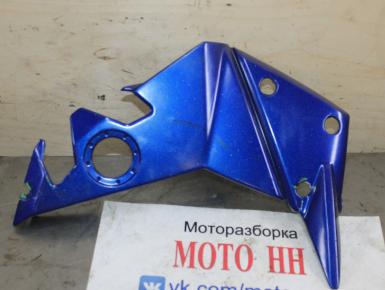 Накладка пластиковая, Kawasaki, Z 750 N, 2009, 0, 0