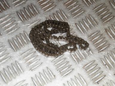 Цепь ГРМ, Yamaha, FZ 6, 2004, 0, 0