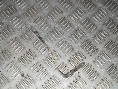 Кронштейны крепления, Honda, CBR 600 F4i, 2002, 0, 0