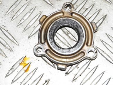 Крышка стартера Левая, Yamaha, XJR 1200, 1995, 0, 0