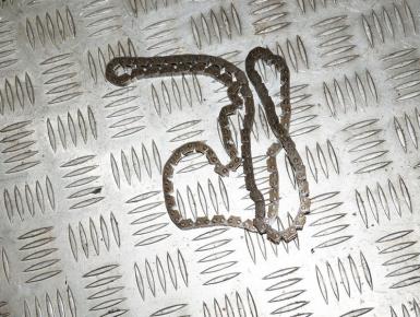 Цепь ГРМ, Yamaha, XJR 1200, 1995, 0, 0