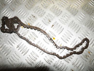 Цепь ГРМ, Yamaha, XJR 1200, 1995, 0, 0