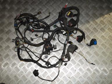 Проводка, Aprilia, Mana 850 GT, 2009, 0, 0