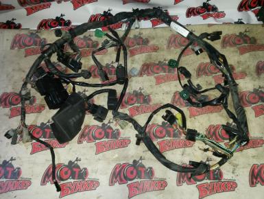 Проводка, Suzuki, SV 1000 S, 2004, 0, 0