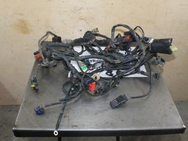 Проводка, Ducati, Hypermotard 1100, 2008, 0, 0