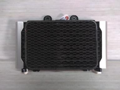 Радиатор охлаждения, Suzuki, GSX 1200 Inazuma, 2000, 0, 0