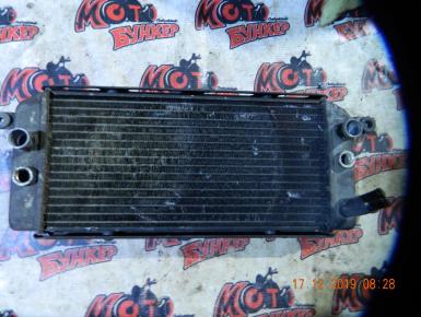 Радиатор охлаждения, Suzuki, VZ 400 Desperado, 1999, 0, 0