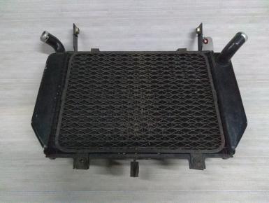 Радиатор охлаждения, Suzuki, TL 1000 R, 2001, 0, 0