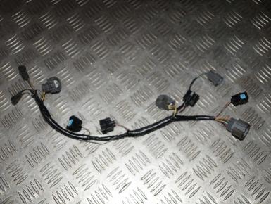 Проводка, Honda, CBR 1100 XX Super Blackbird, 2002, 0, 0