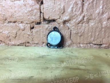 Накладка (крышка) металлическая  левая, Yamaha, FZR 1000 Genesis, 1987, 0, 0