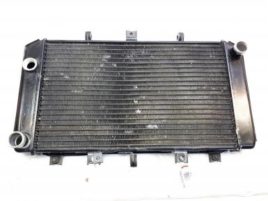 Радиатор охлаждения, Kawasaki, Z 750 S, 2005, 0, 0