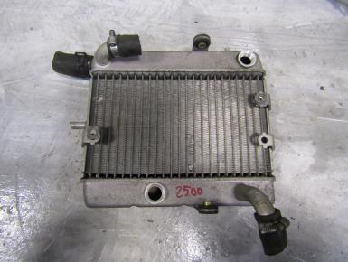 Радиатор охлаждения, Yamaha, YP 250 A Majesty (ABS), 2002, 0, 0