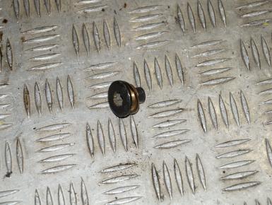 Пробка двигателя, Ducati, Monster 400, 2005, 0, 0