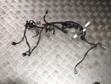 Проводка, Honda, CB 600 F Hornet, 2008, 0, 0