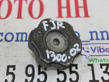 Крышка заливной горловины антифриза, Yamaha, FJR 1300, 2002, 0, 0