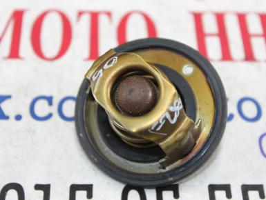 Термостат, Yamaha, FZ 6 Fazer, 2005, 0, 0