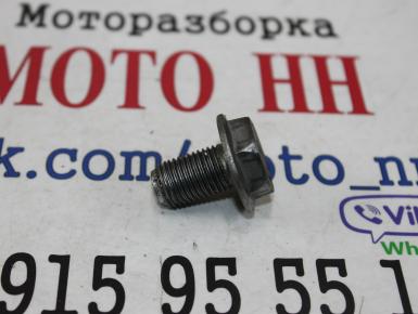 Набор болтов для мотоцикла крепления заднего колеса., Yamaha, YZF R1, 2007, 0, 0