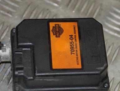 Электронный блок управления круиз-контролем, Harley-Davidson, FLHX Street Glide , 0, 0