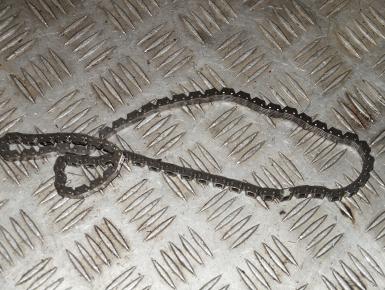 Цепь ГРМ, Yamaha, XVS 400 Drag Star, 1997, 0, 0