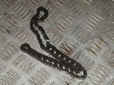 Цепь ГРМ, Yamaha, XVS 400 Drag Star, 1997, 0, 0