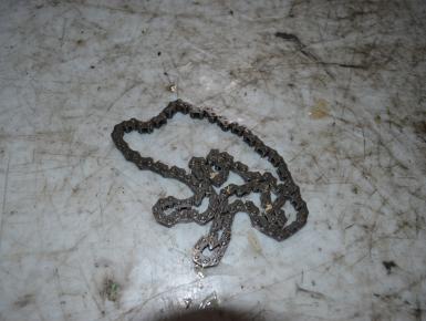 Цепь ГРМ, Kawasaki, ZX 9 R Ninja, 1998, 0, 0