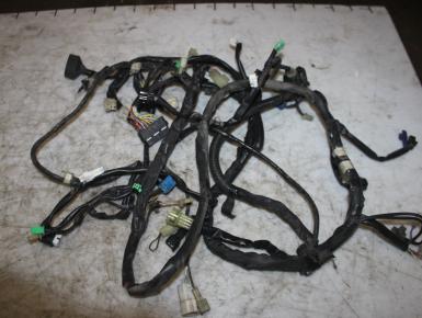 Проводка, Yamaha, XP 500, 2005, 0, 0