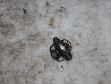 Термостат, Yamaha, XP 500, 2005, 0, 0