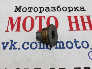 Пробка двигателя, Ducati, Hypermotard 1100, 2008, 0, 0