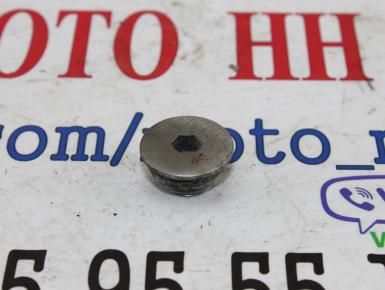 Пробка двигателя, Honda, NT 650 Bros (RC31), 1990, 0, 0