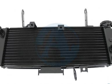 Радиатор охлаждения, Suzuki, SV 650, 2007, 0, 0