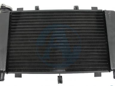 Радиатор охлаждения, Yamaha, FZ 6, 2010, 0, 0