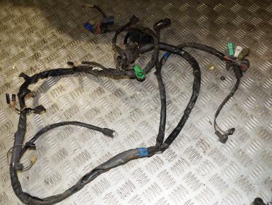 Проводка, Suzuki, GSF 1200 S Bandit, 2004, 0, 0