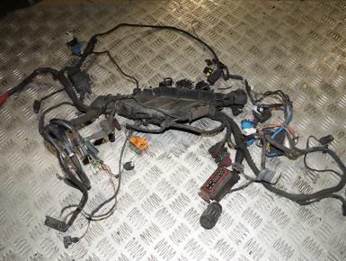 Проводка, BMW, F 650 CS, 2004, 0, 0