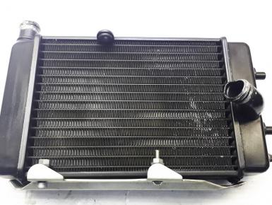 Радиатор охлаждения Левый, Aprilia, Tuono 1000 R, 2005, 0, 0