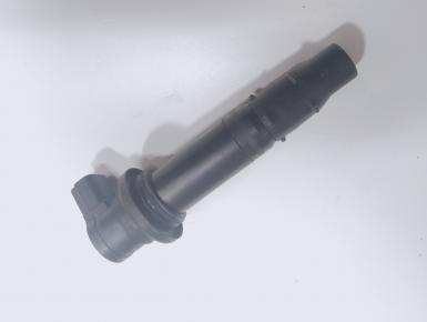 Катушка зажигания, Yamaha, FZ 1 Fazer, 2006, 0, 0