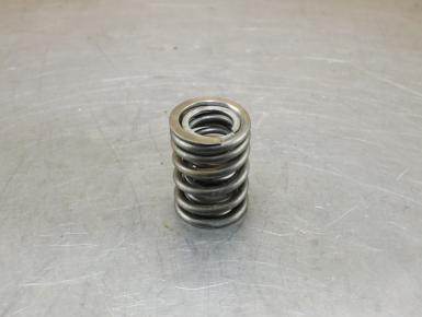 Пружина впускного / выпускного клапана, Yamaha, XV 1100, 1995, 0, 0