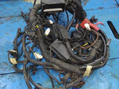 Проводка, BMW, R 1200 R, 2009, 0, 0