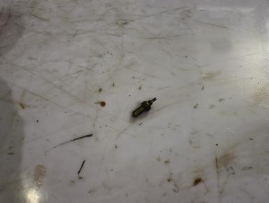 Датчик нейтрали, Yamaha, YZF R1, 2005, 0, 0